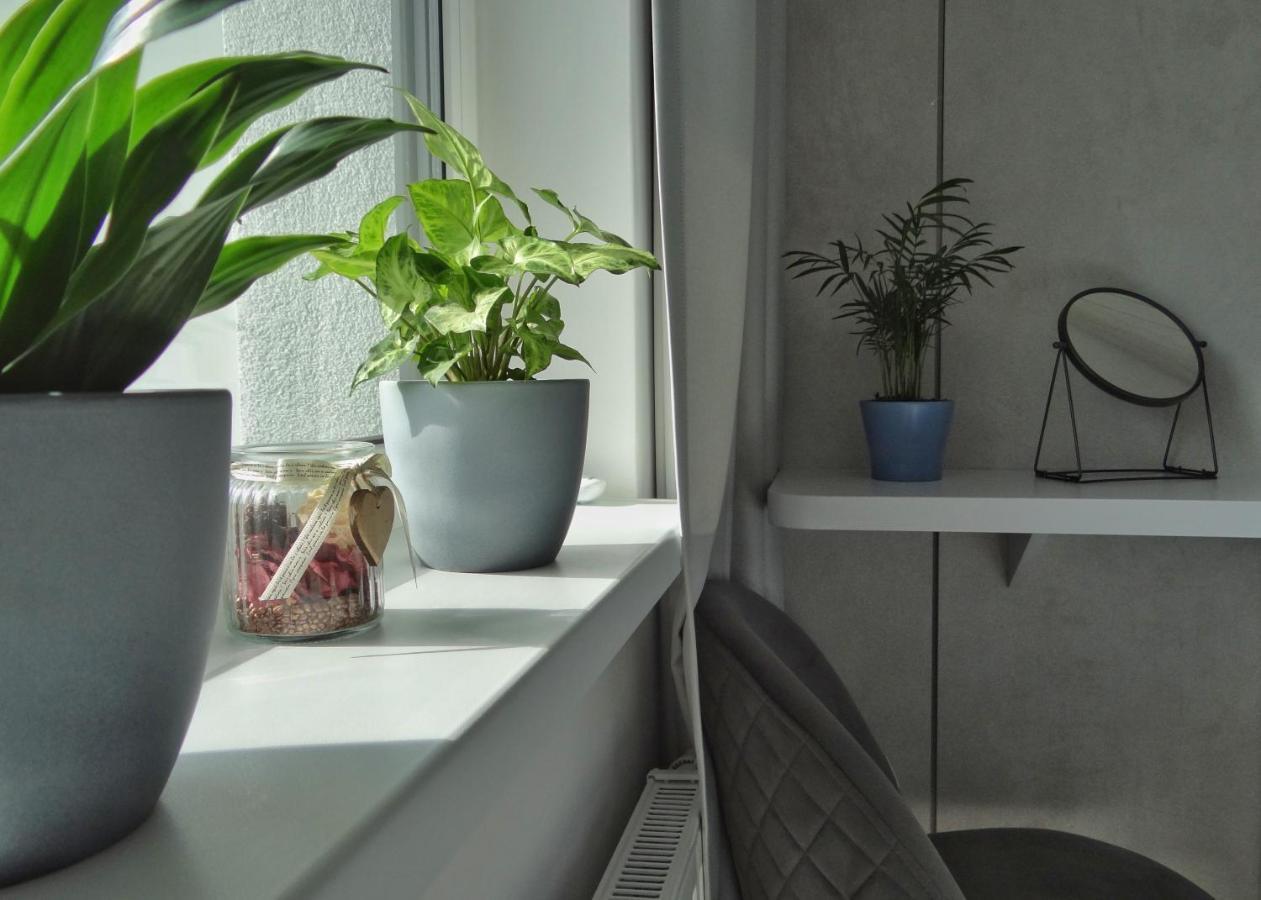 Top Urban Apartment - Free Parking, Green Energy, Modern Style Bratislava Exteriör bild